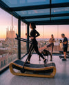 Signature Treadmill
